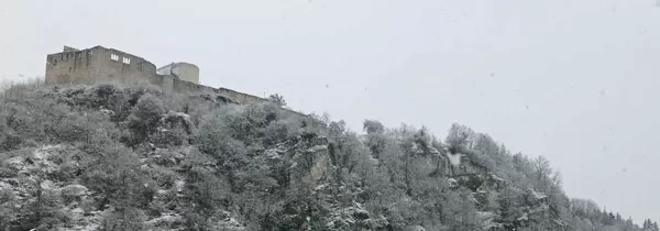 Blick auf die Burgruine von der Steinernen Brücke